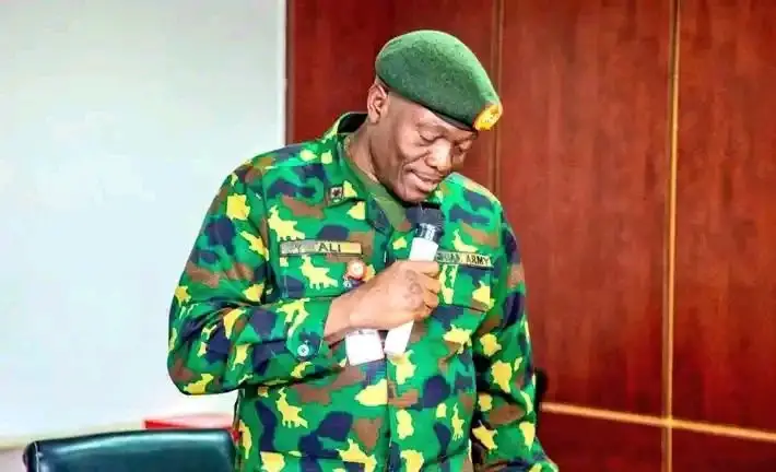 The Terrorists Ambushed Vehicles,Carried People,Took Them To Bush,Force Them To Fight & Work—Gen Ali...