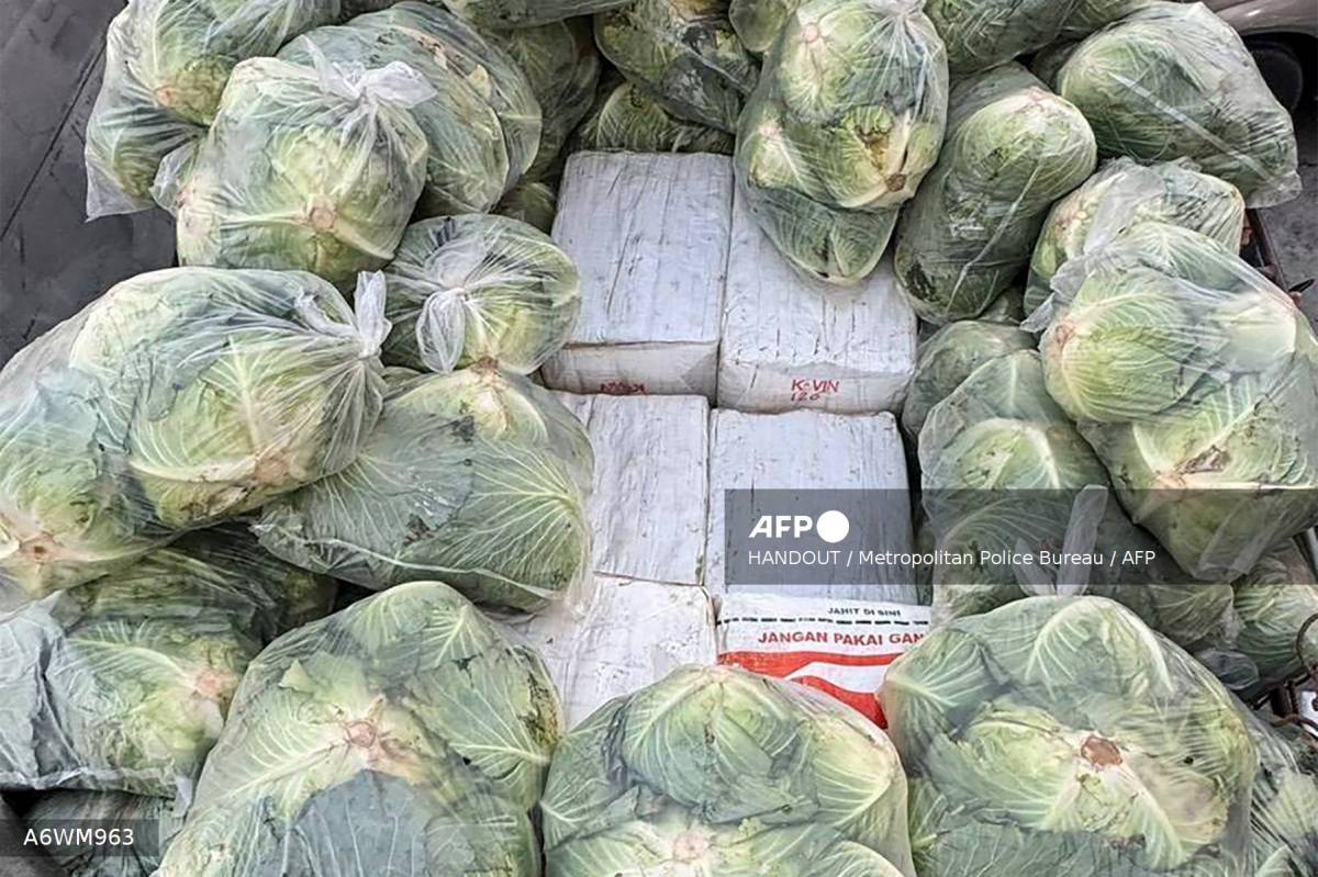 Thai police seize 1.6 tonnes of drugs hidden under cabbages.
The police have seized 1.6 tonnes of k...