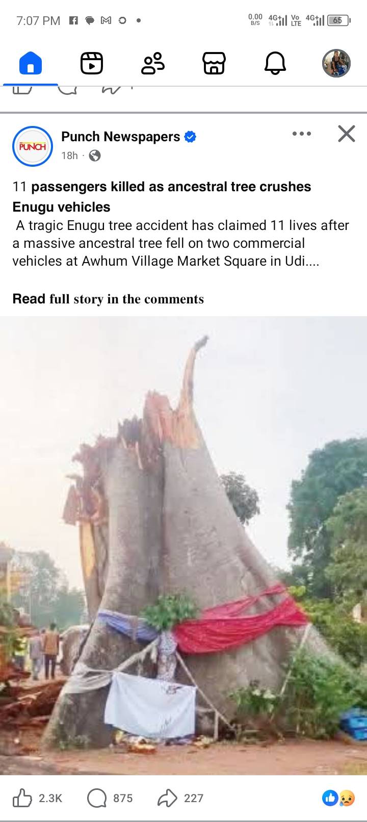 It's this juju tree that deny Verydarkblackman from drilling borehole
#LekeeLekee #VDM