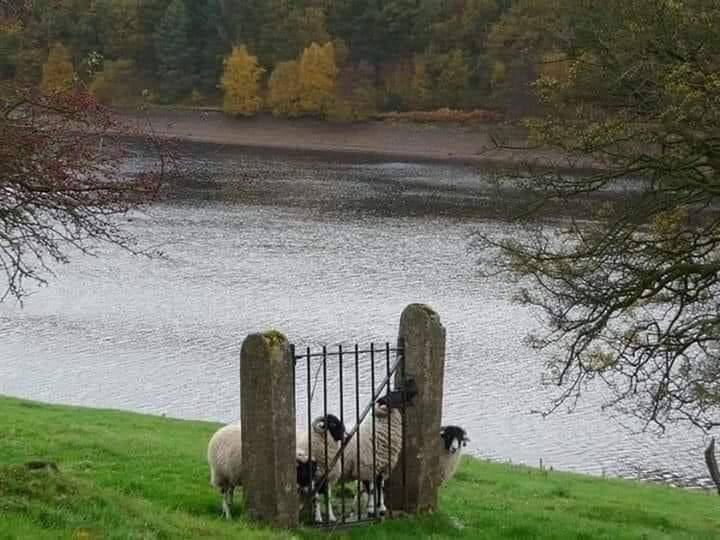 Never become your own limitation π