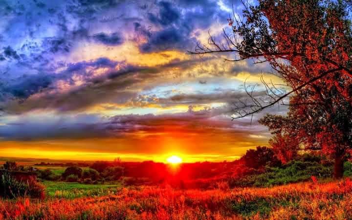 Sometimes, you don't need a new skill or a new plan.
You just need the right room to remind you how...