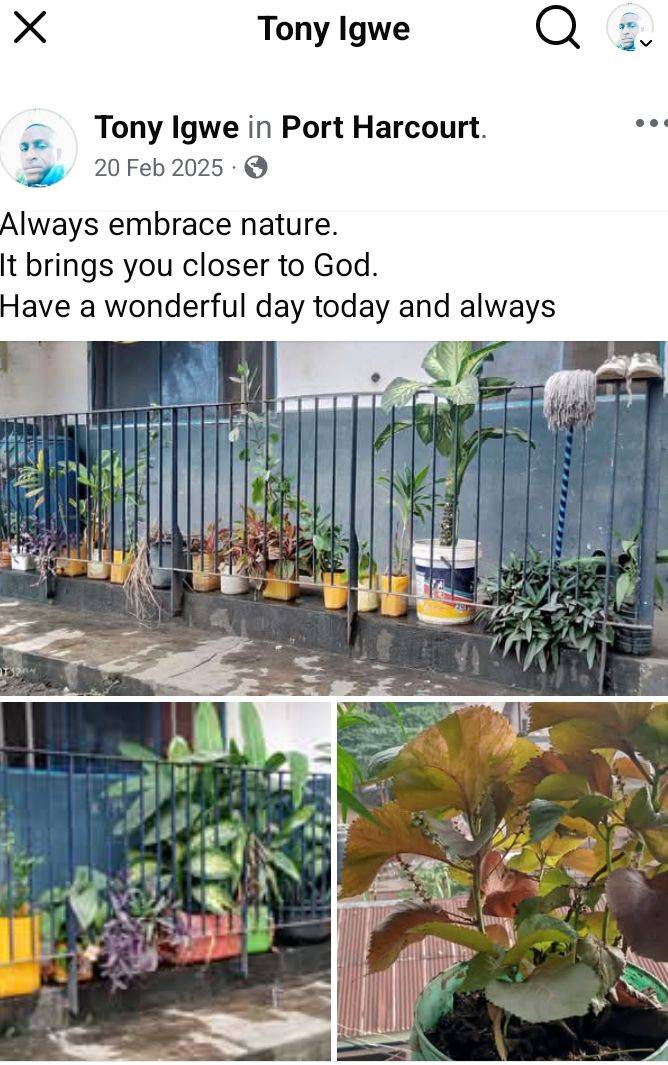 Thanks be to God for today's rain