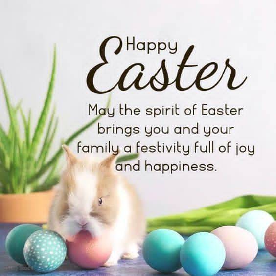 Happy Easter! ๐ธ
May this beautiful season fill your heart with peace, your home with joy, and your...