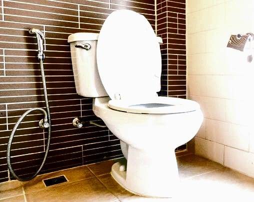 SNAKES in the TOILET?
✔️ SALT is the ANSWER. 
=======================

REPTILES like SNAKES or SCORP...