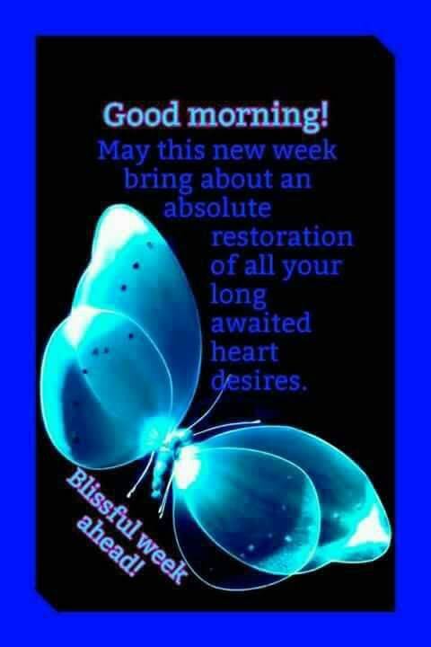 Good morning all and happy Monday