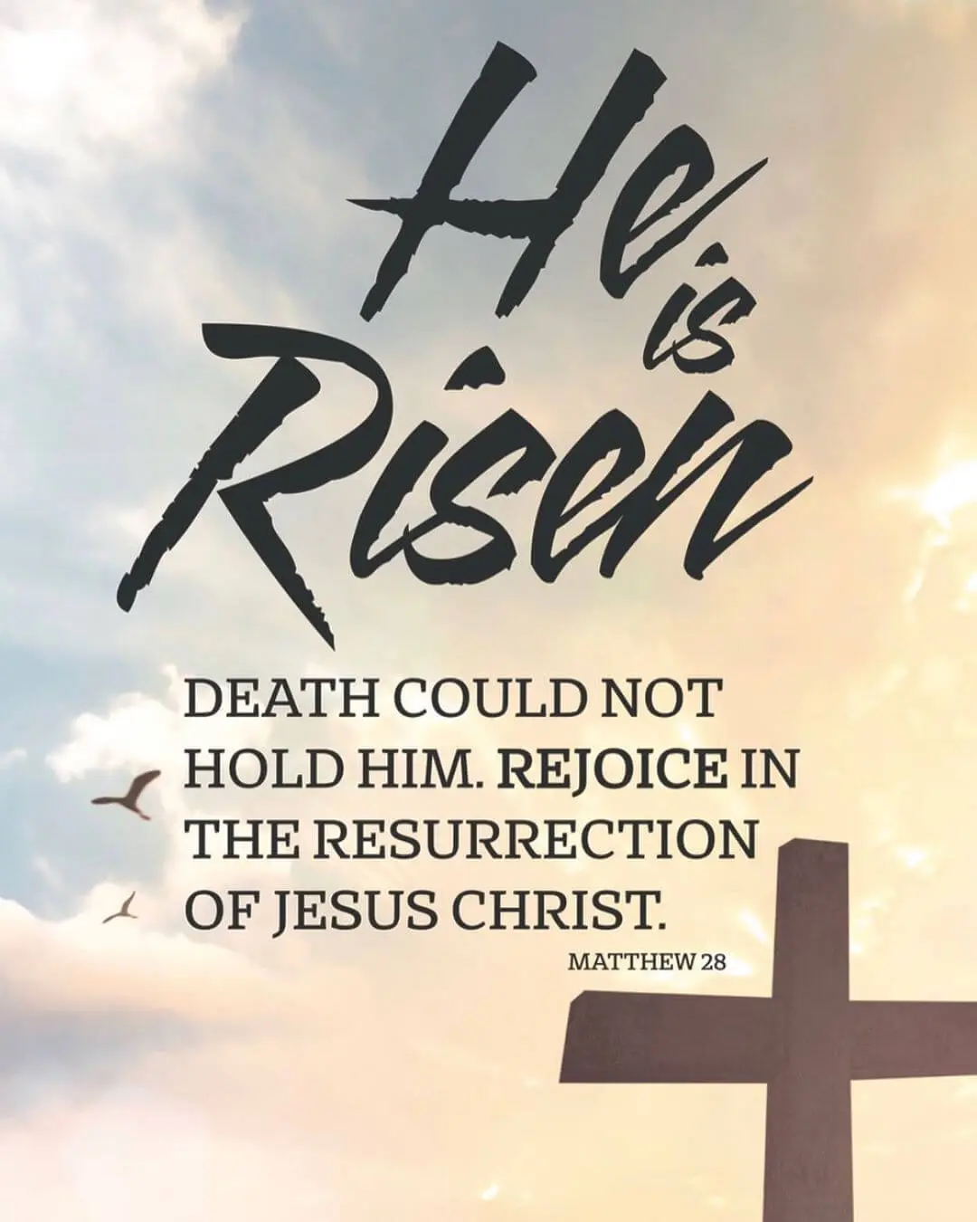 MAY THE RISEN LORD BLESSED YOU AND FAMILY 🙏🙏 🙏