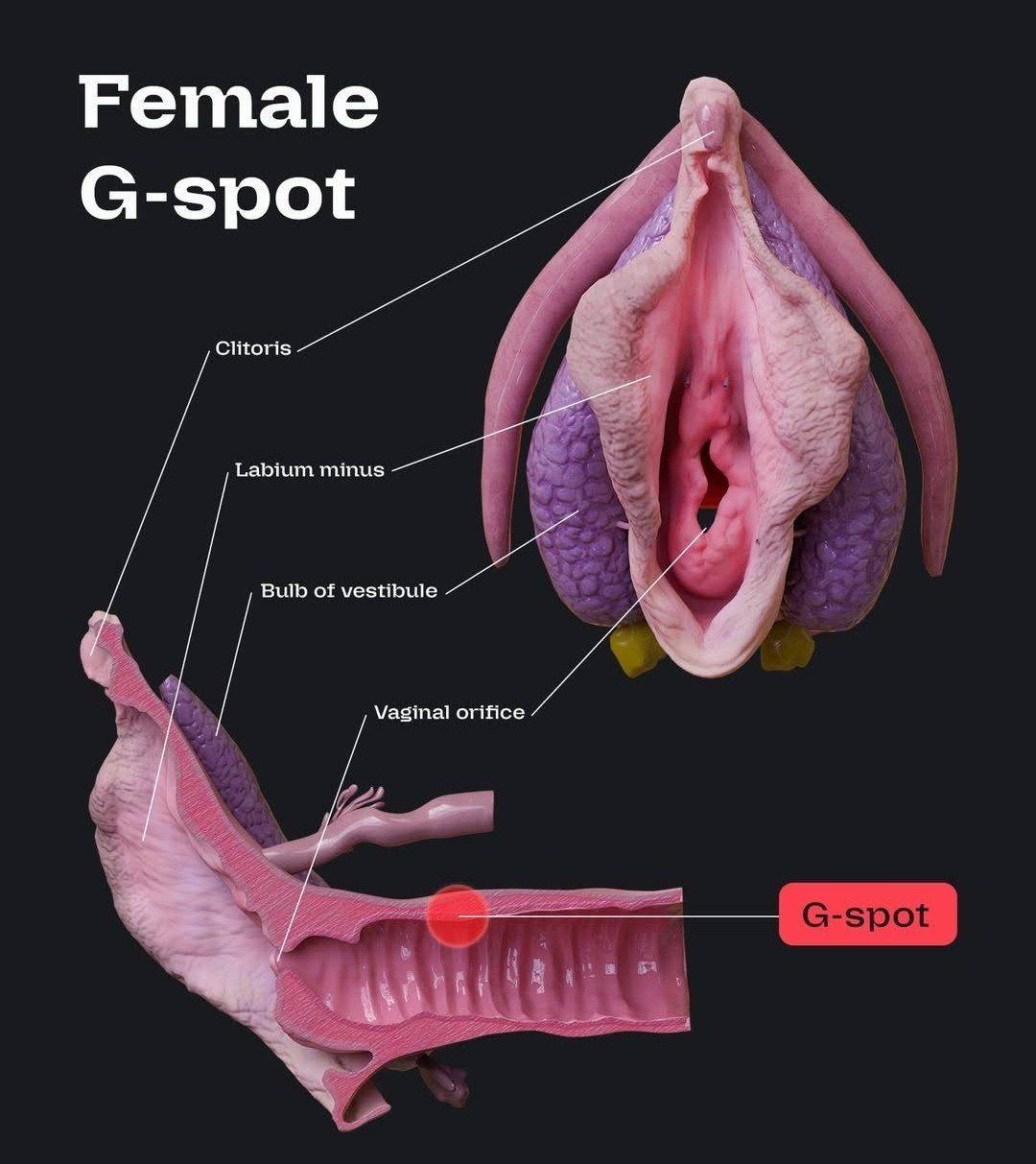 G-Spot...