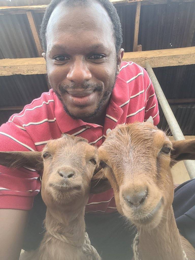 Do these three need DNA? Yes or No