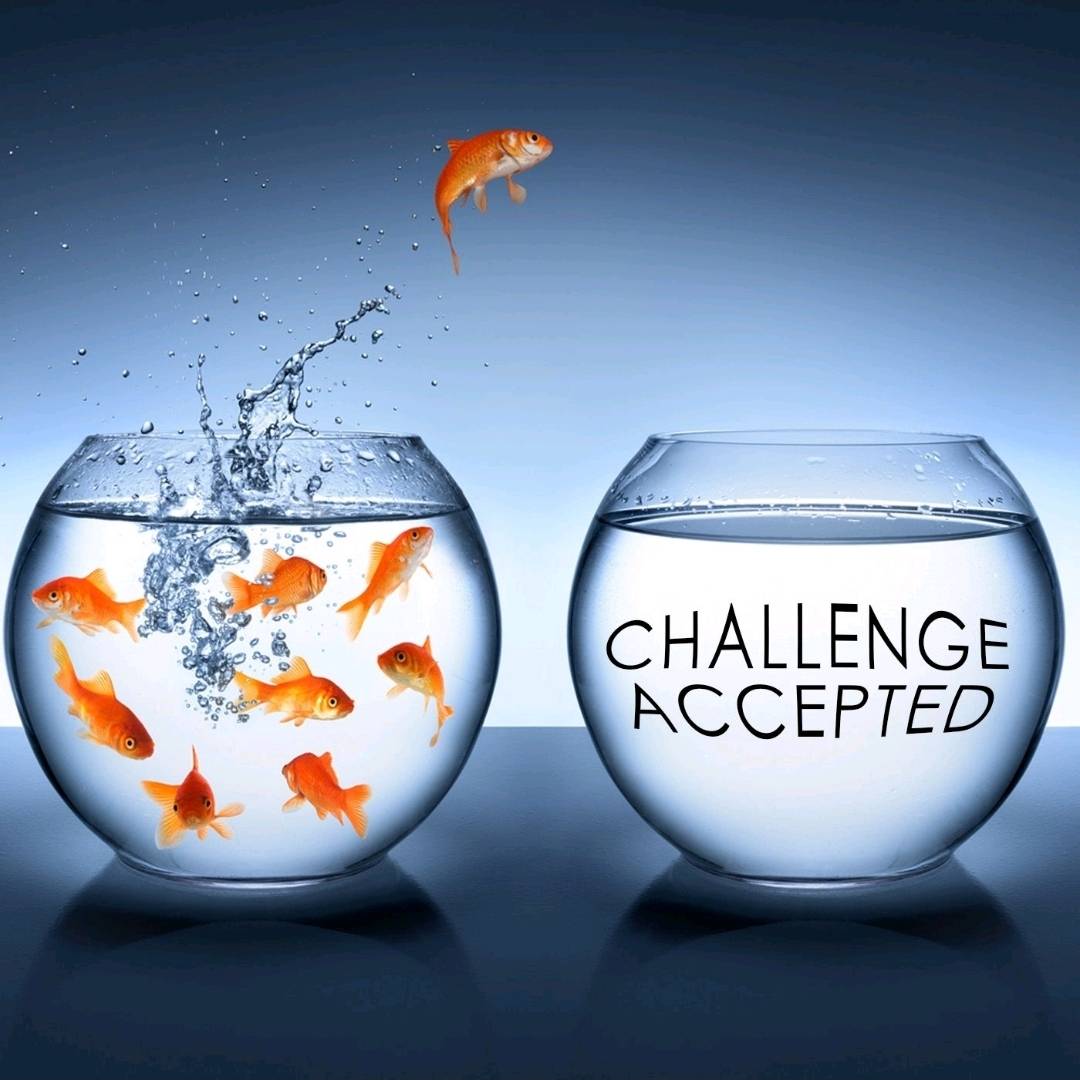 Leaders embrace challenges !!!
That is #Leadership !!!
Blessed week friends !!!
anthony-ajileye.com