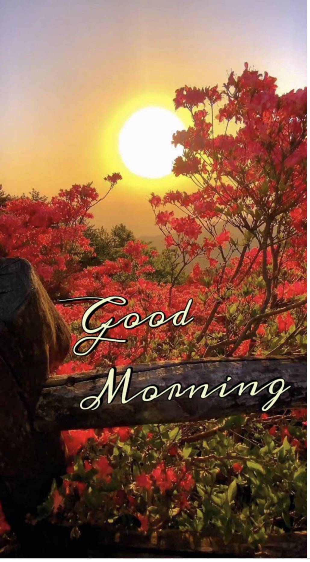 Rise with the sun, shine with your heart, and spread warmth wherever you go.
Own your day, make it...