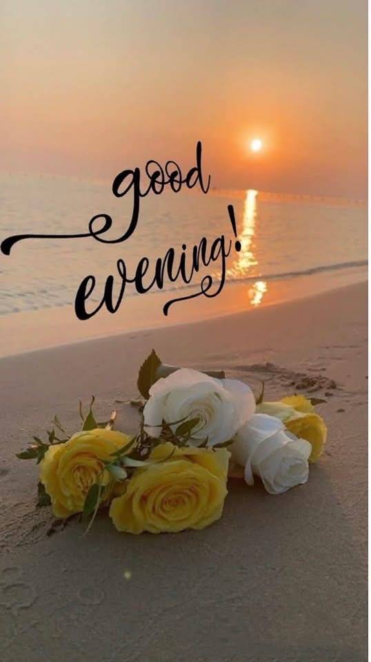 Good evening beautiful people,
How was your day?
Let the beauty of this evening bring you comfort...