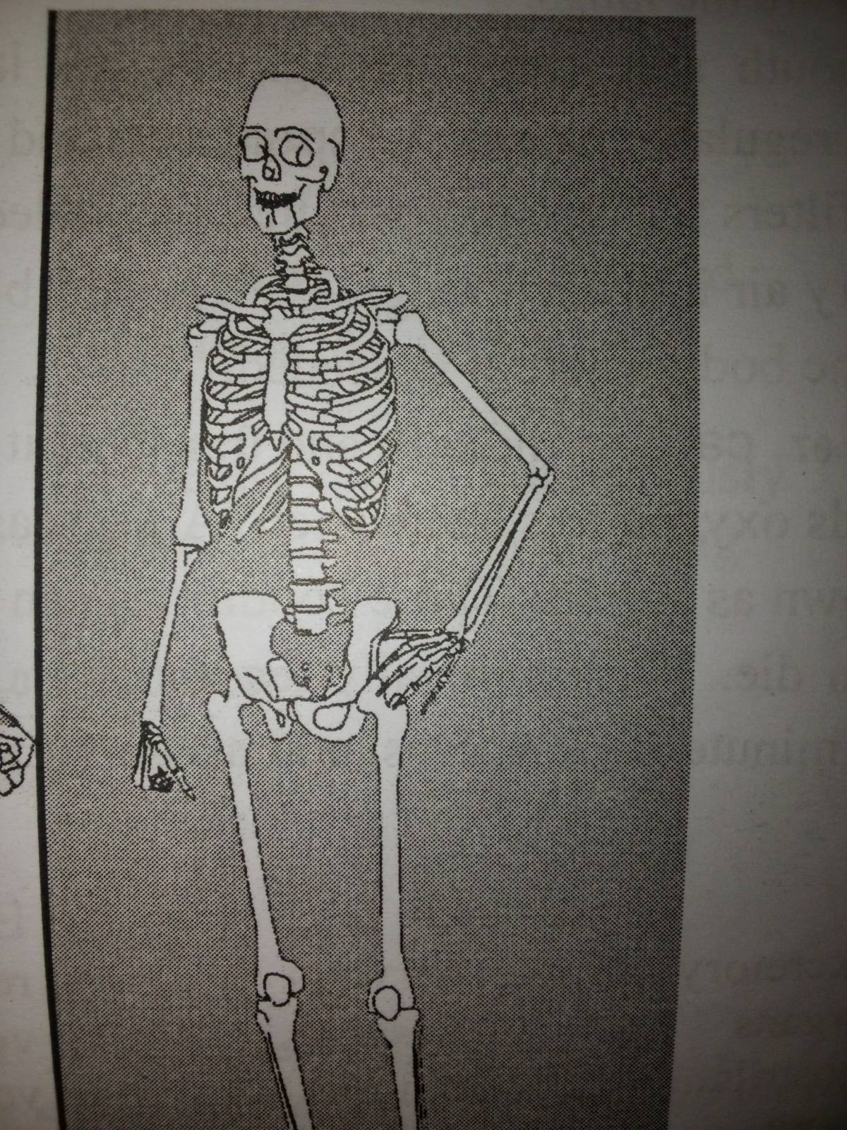 I didn't know that skeleton could pose and say cheese ๐ ๐ ๐