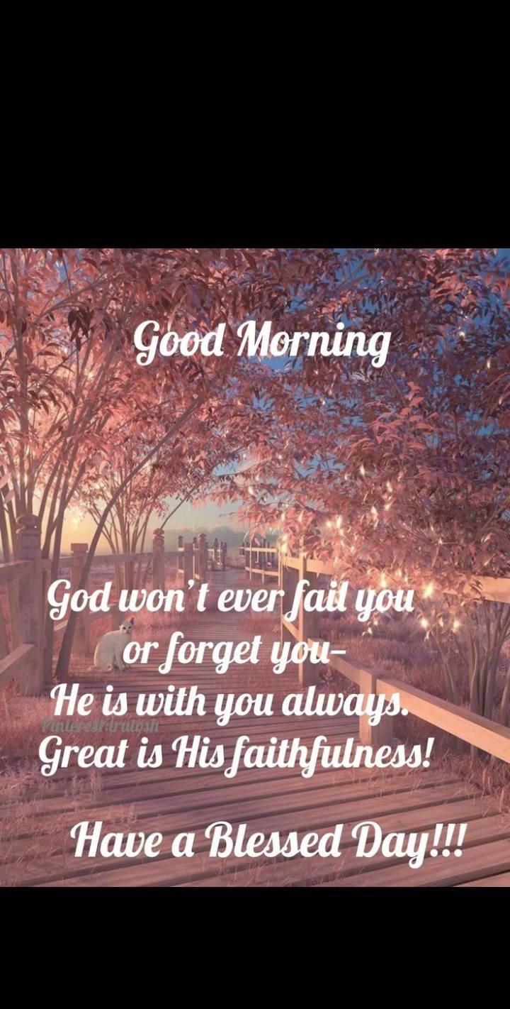 Post by Chibike Belonwu-Nwankwo