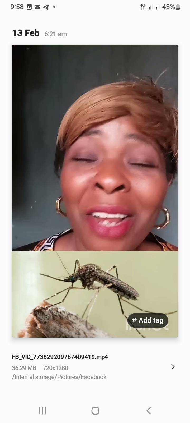6 Life Lessons From A Mosquito
Insights from the scum of the earth
1. Never Give Up
Mosquitoes get...