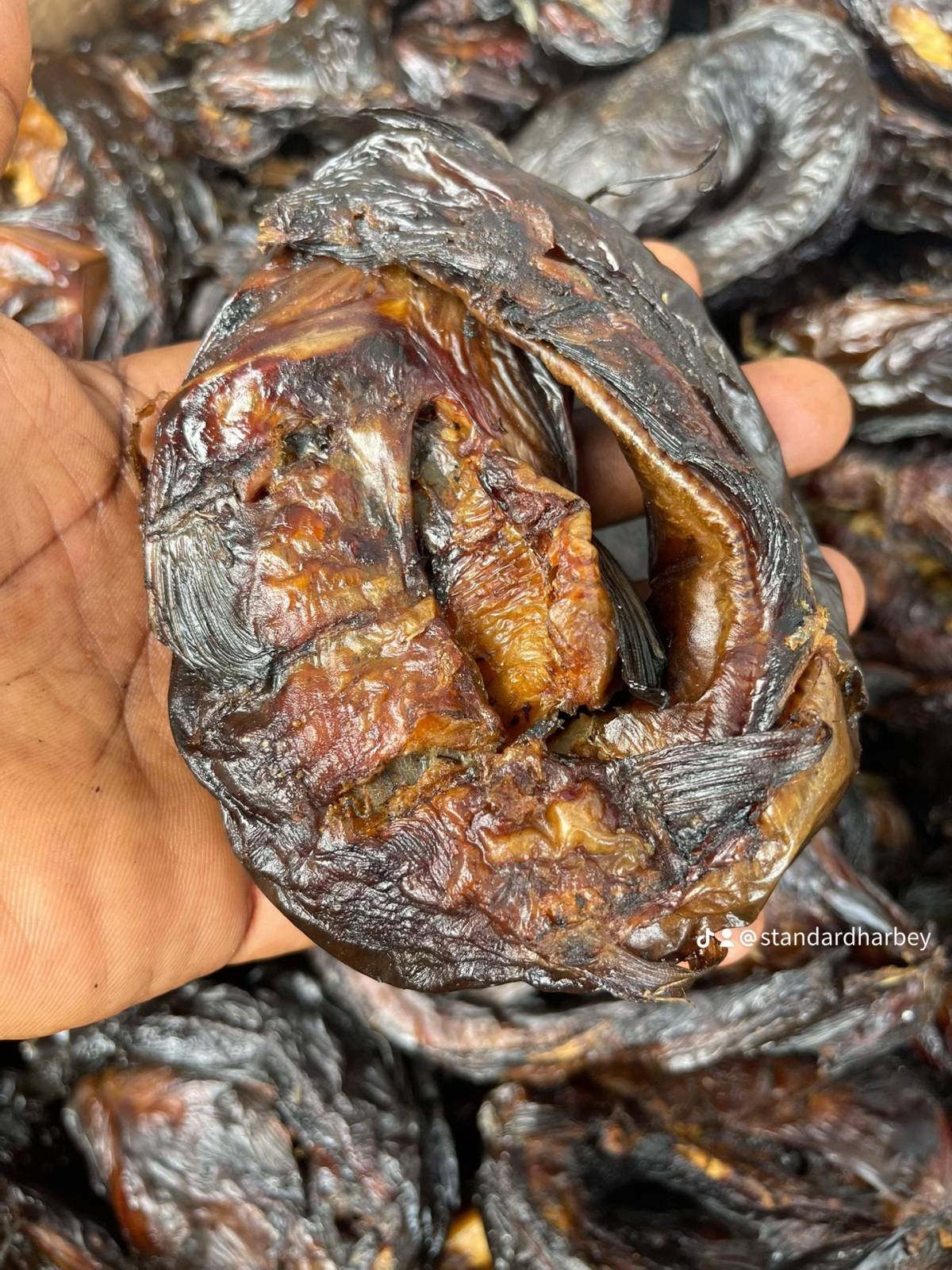 Happy Sunday from all of us at #AbbyDexFarms ✨🦈
#yourfavoritefarmer #smokedDriedCatfish #AddingVal...
