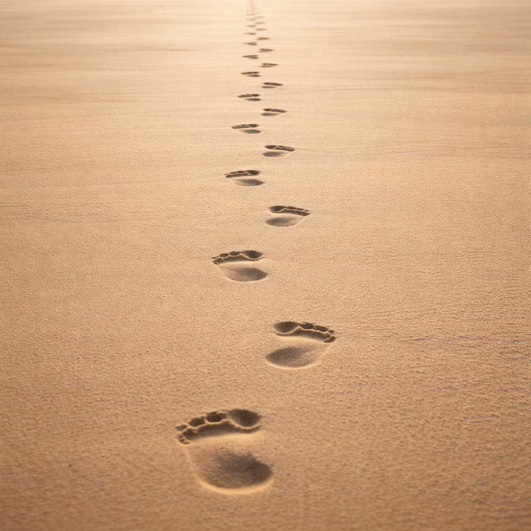 INTEGRITY IS THE LEADER'S FOUNDATION
“The integrity of the upright guides them.” (Prov 11:3)
Skil...