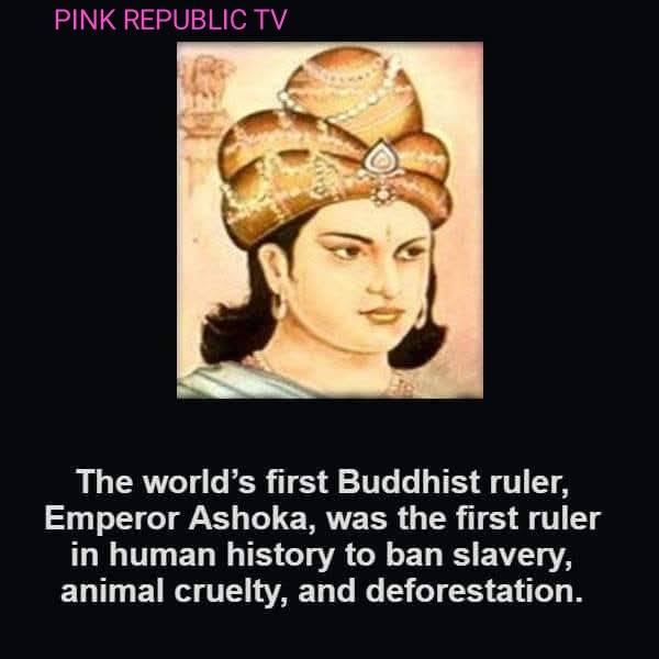Did you know?