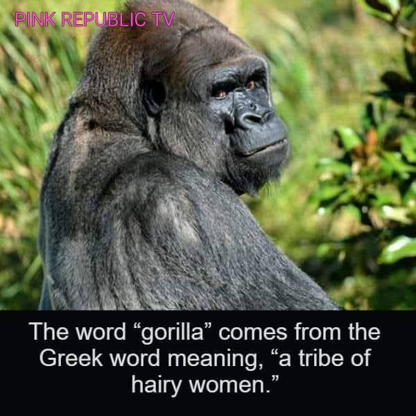 Did you know?