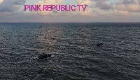 https://pinkrepublic12.blogspot.com/2026/03/drone-attack-from-sudan-kills-17-in.html?m=1