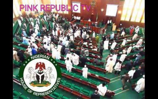 https://pinkrepublic12.blogspot.com/2026/03/federal-house-of-representatives.html?m=1