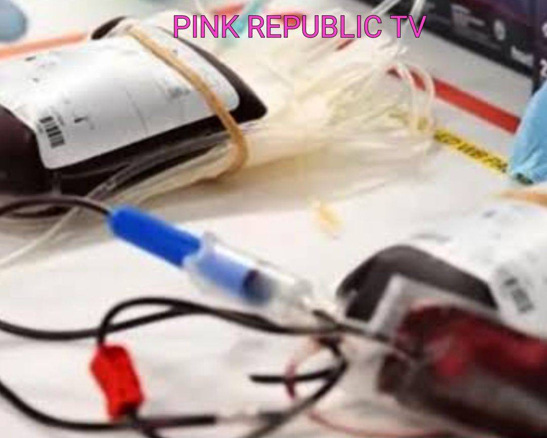 https://pinkrepublic12.blogspot.com/2026/03/blood-transfusions-jehovah-witness-is.html?m=1