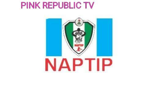https://pinkrepublic12.blogspot.com/2026/03/naptip-denies-prior-knowledge-of-rape.html?m=1