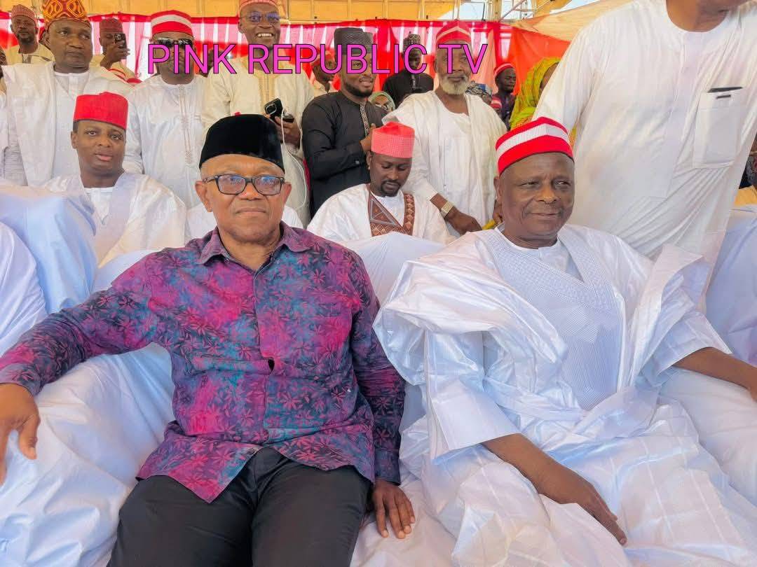 https://pinkrepublic12.blogspot.com/2026/03/peter-obi-reveals-collaboration-with.html?m=1