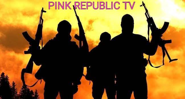 https://pinkrepublic12.blogspot.com/2026/03/troops-kill-two-bandits-during-ransom.html?m=1