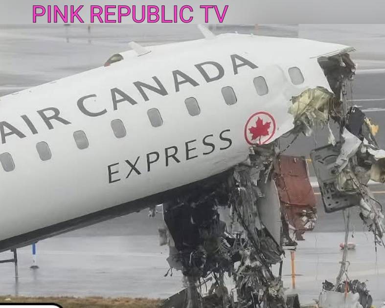 https://pinkrepublic12.blogspot.com/2026/03/runway-safety-system-failed-to-alert.html?m=1