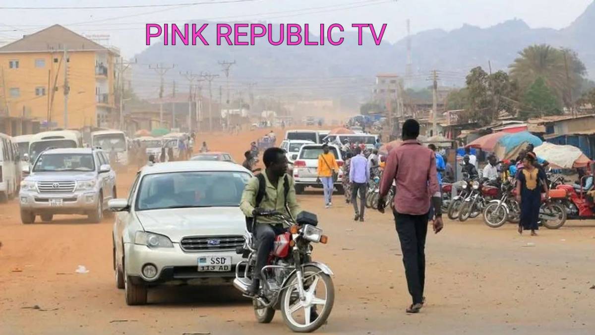 https://pinkrepublic12.blogspot.com/2026/03/south-sudan-announces-electricity.html?m=1
