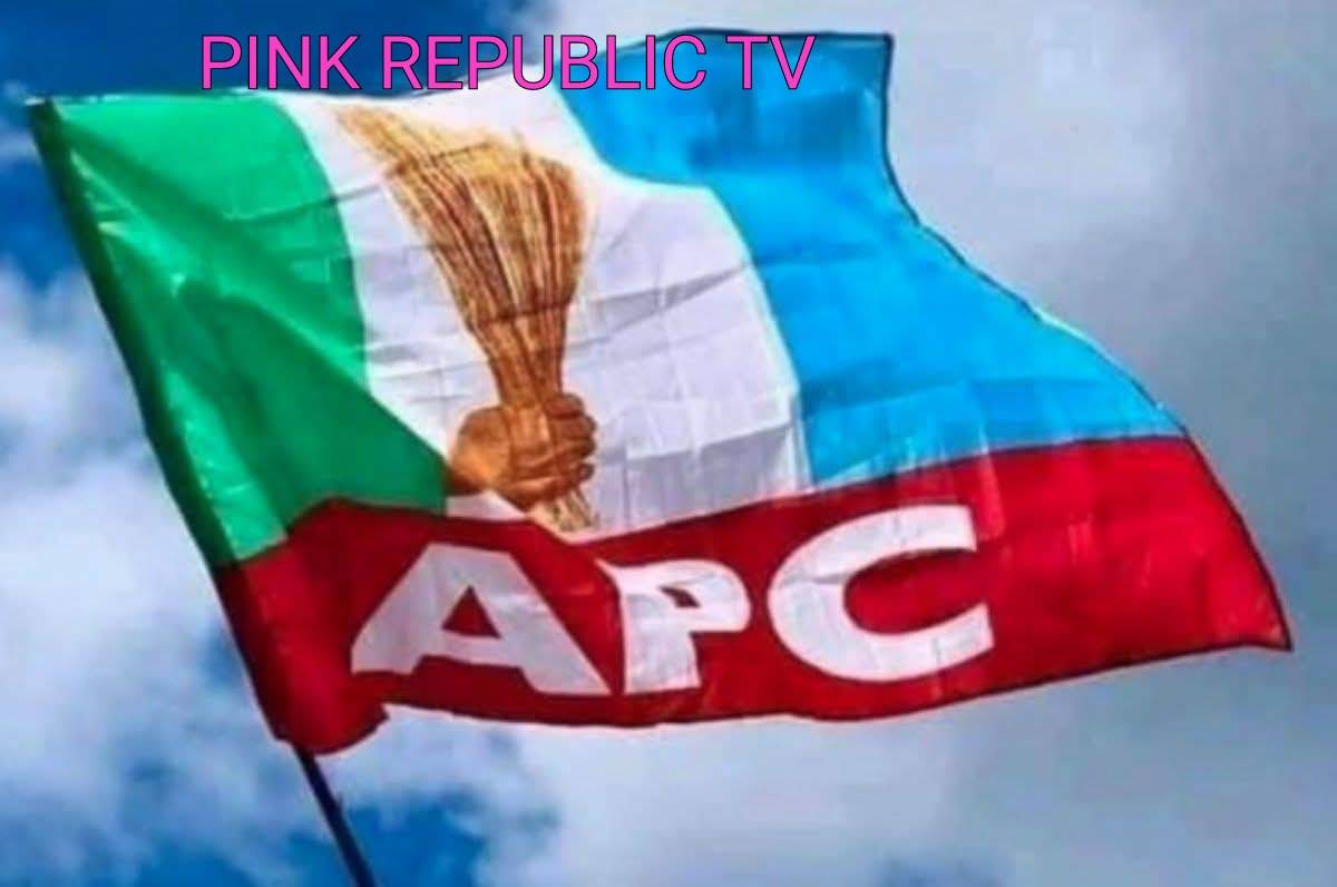 https://pinkrepublic12.blogspot.com/2026/03/apc-south-east-holds-zonal-congress-in.html?m=1