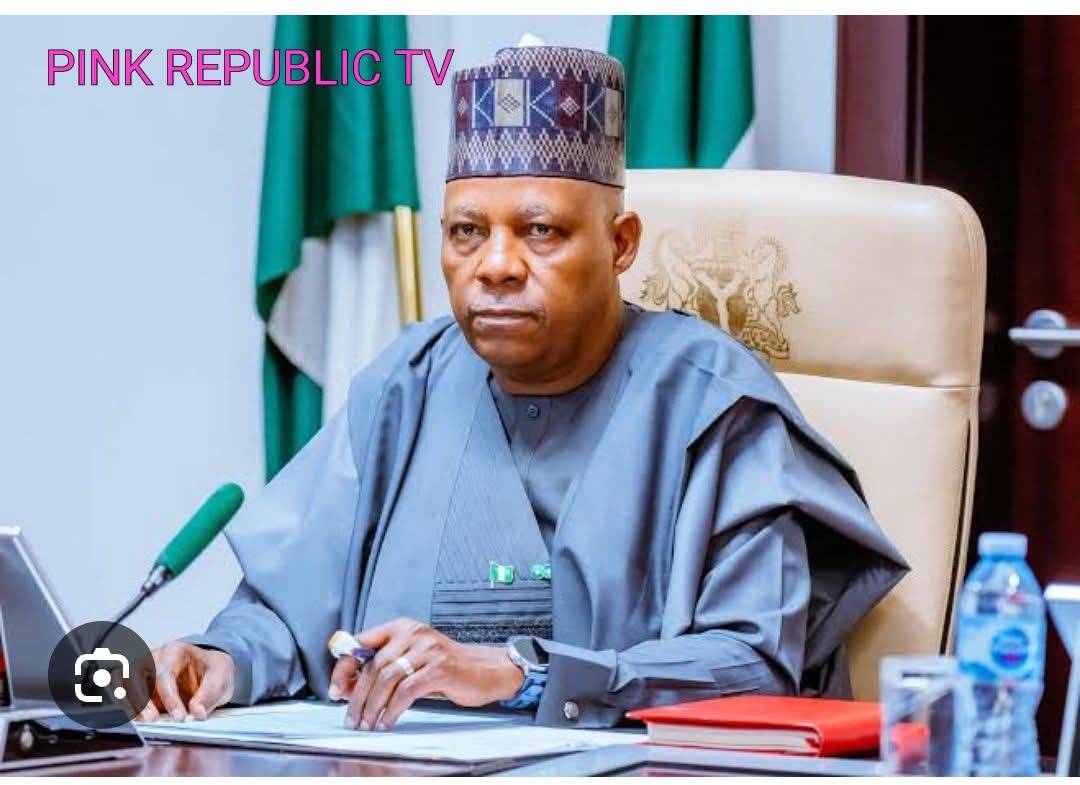 https://pinkrepublic12.blogspot.com/2026/03/vice-president-shettima-commends-gates.html?m=1