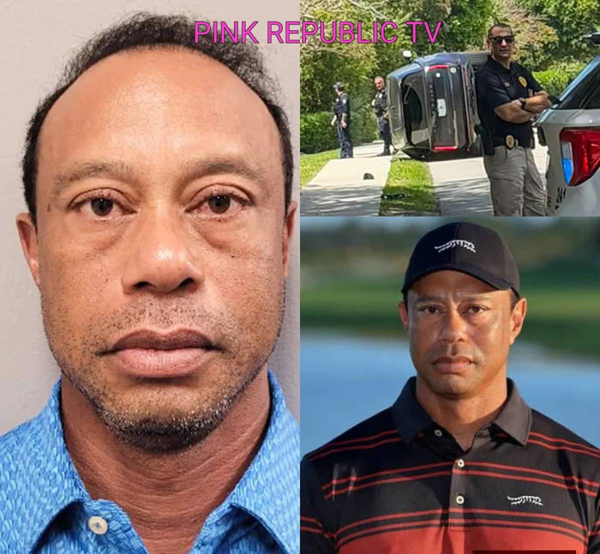 https://pinkrepublic12.blogspot.com/2026/03/tiger-woods-mugshot-released-after.html?m=1
