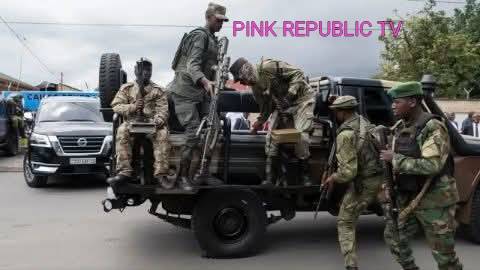 https://pinkrepublic12.blogspot.com/2026/03/rebels-start-to-withdraw-from-dr-congo.html?m=1