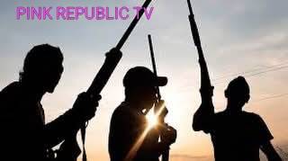 https://pinkrepublic12.blogspot.com/2026/03/gunmen-kidnap-six-health-workers-in.html?m=1