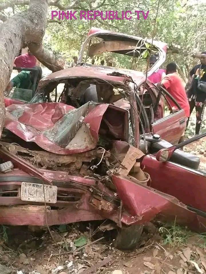 https://pinkrepublic12.blogspot.com/2026/03/two-killed-several-injured-in-auto.html?m=1