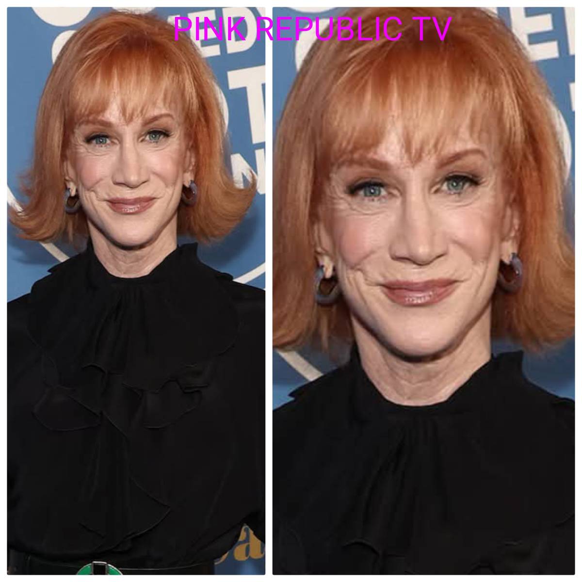 https://pinkrepublic12.blogspot.com/2026/03/kathy-griffin-compares-america-to-squid.html?m=1