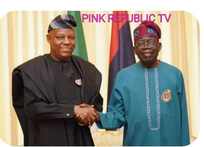 https://pinkrepublic12.blogspot.com/2026/03/vice-president-shettima-celebrates.html?m=1