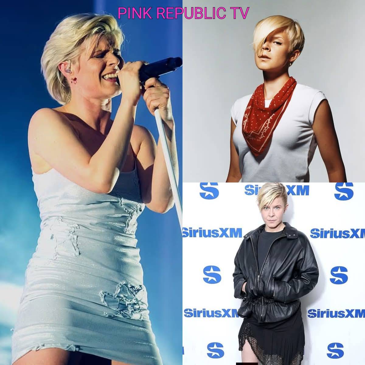https://pinkrepublic12.blogspot.com/2026/03/pop-superstar-robyn-reveals-hardcore.html?m=1