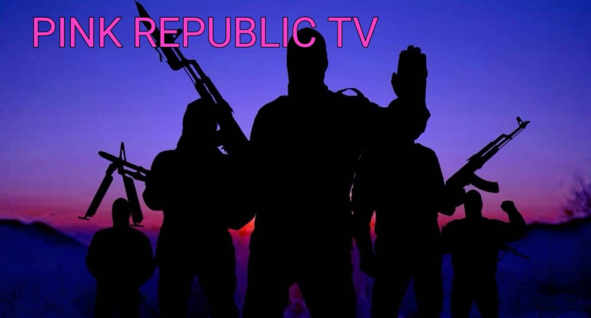 https://pinkrepublic12.blogspot.com/2026/03/several-feared-dead-as-gunmen-attack.html?m=1