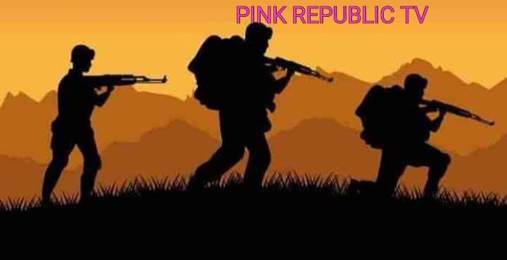 https://pinkrepublic12.blogspot.com/2026/03/bandits-kill-13-at-wedding-in-kaduna.html?m=1