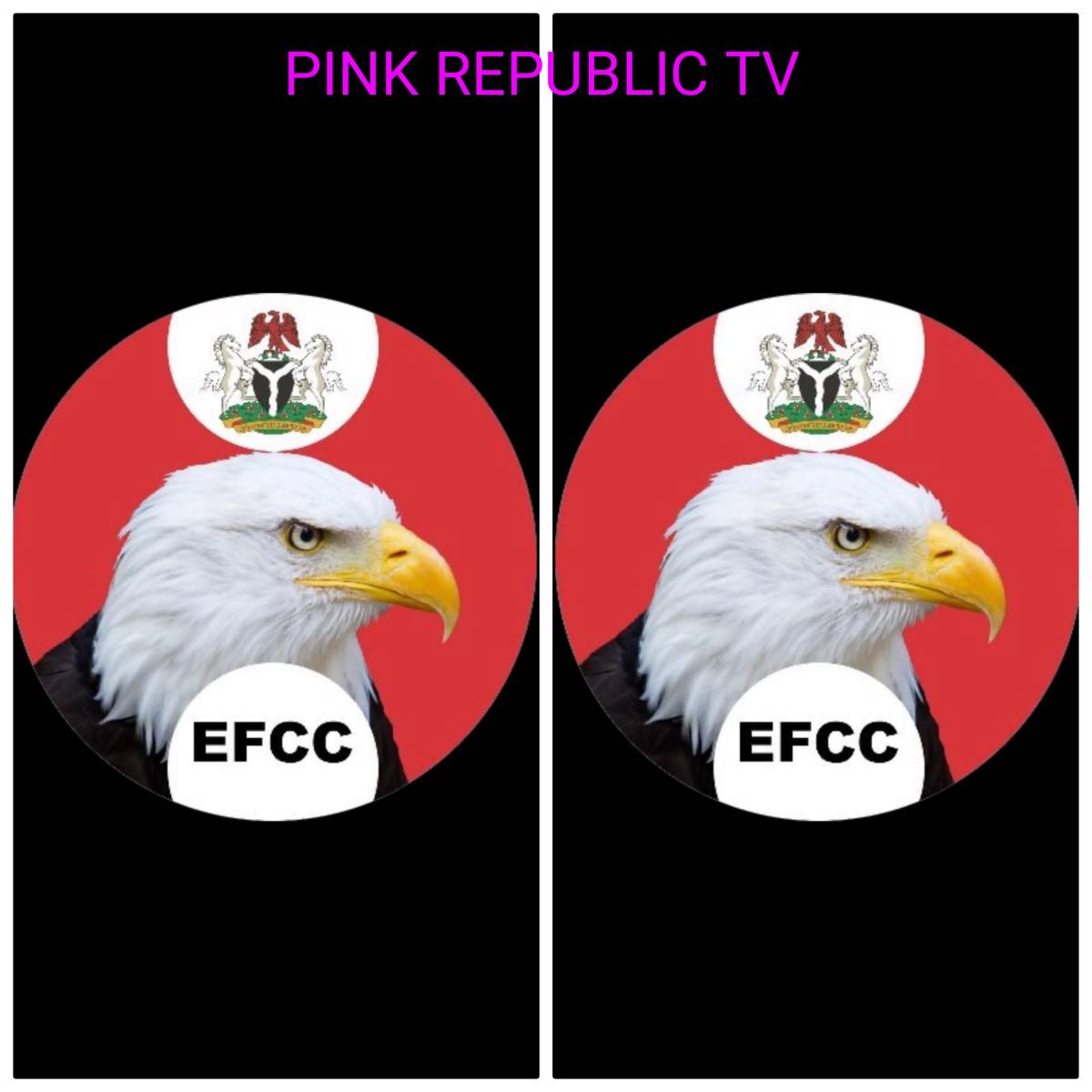 https://pinkrepublic12.blogspot.com/2026/03/alleged-6bn-mambila-power-fraud-court.html?m=1