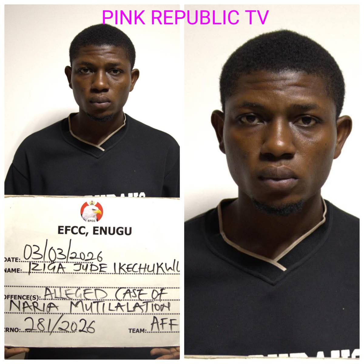 https://pinkrepublic12.blogspot.com/2026/03/court-jails-man-for-naira-abuse-in.html?m=1