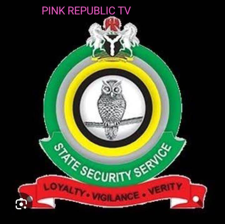 https://pinkrepublic12.blogspot.com/2026/04/dss-intercepts-ammunition-courier.html?m=1