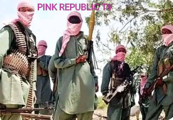 https://pinkrepublic12.blogspot.com/2026/04/bandits-kill-one-kidnap-children.html?m=1