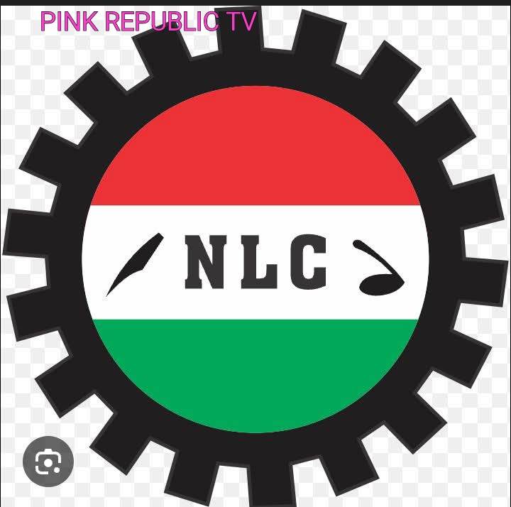 https://pinkrepublic12.blogspot.com/2026/04/nlc-tasks-state-chapters-on-full.html?m=1