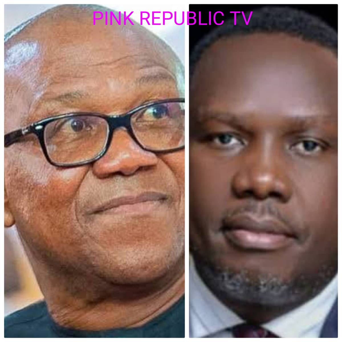 https://pinkrepublic12.blogspot.com/2026/04/peter-obi-will-never-be-president-of.html?m=1