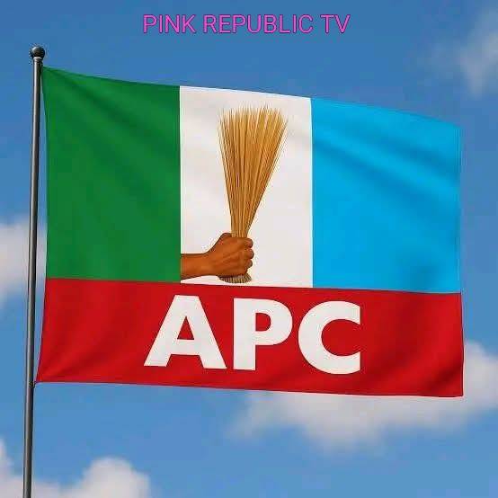 https://pinkrepublic12.blogspot.com/2026/04/kaduna-apc-denies-endorsing-candidates.html?m=1