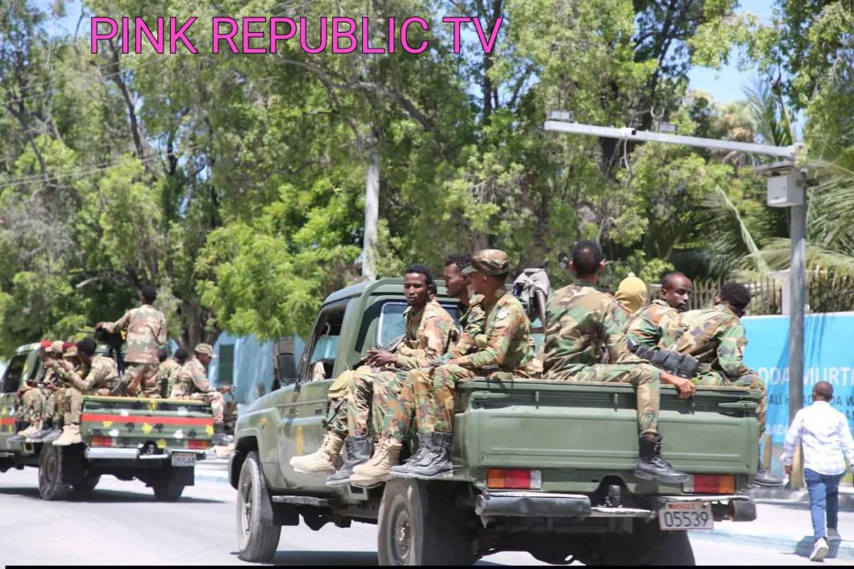 https://pinkrepublic12.blogspot.com/2026/04/chief-al-shabab-bomb-maker-killed-in.html?m=1