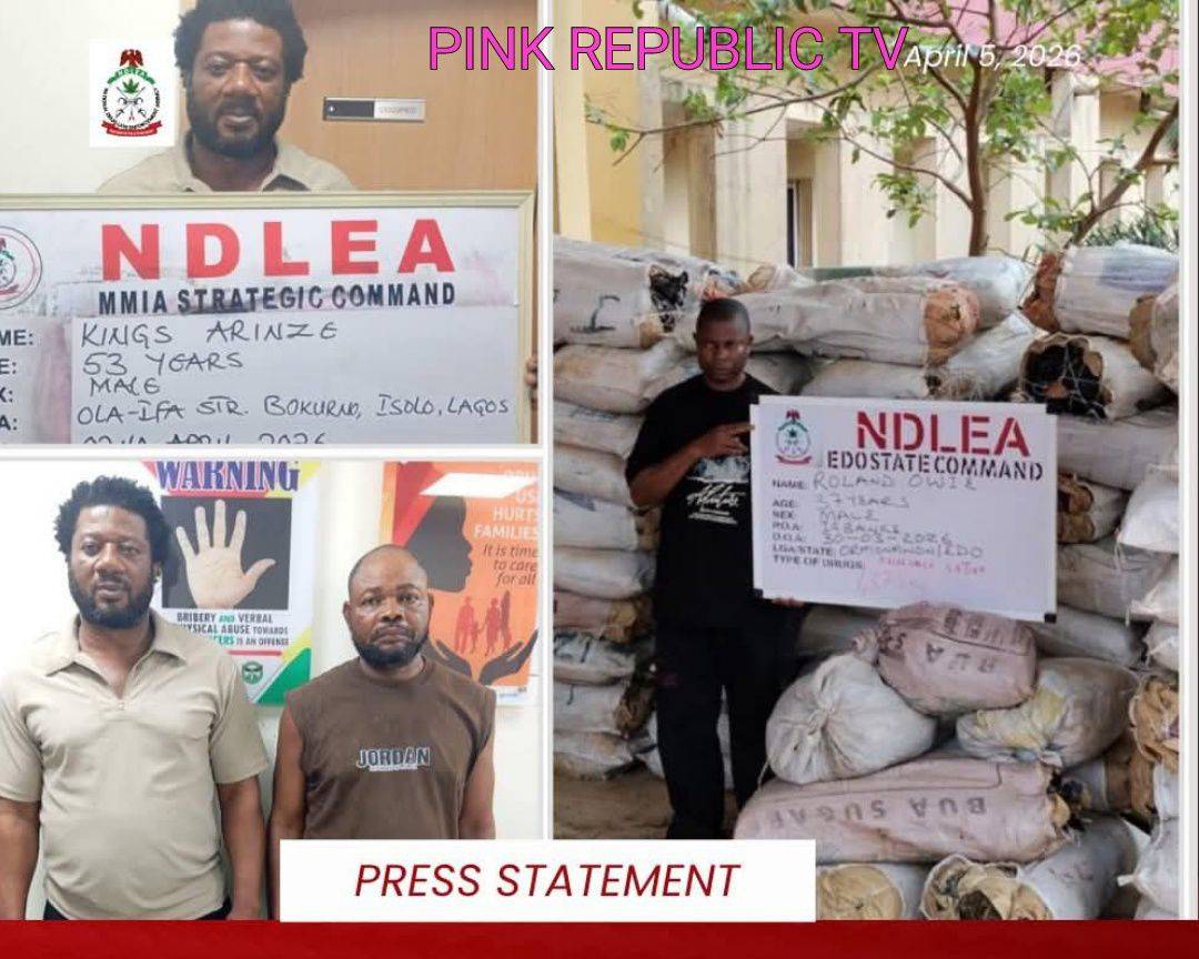 https://pinkrepublic12.blogspot.com/2026/04/ndlea-uncovers-cocaine-in-palm-kernel.html?m=1